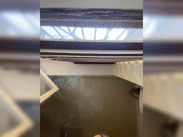Wetshow webcam