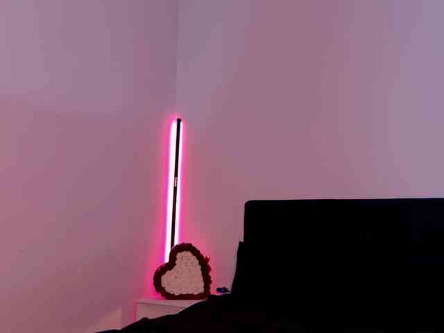 Niinarosee webcam