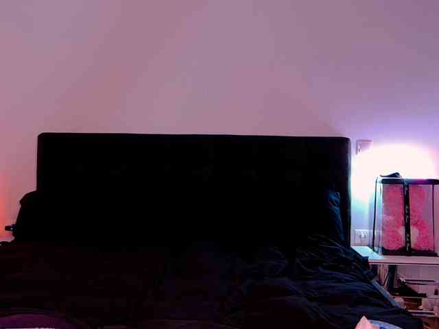 Niinarosee webcam