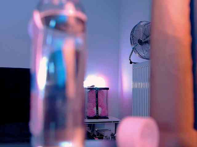 Niinarosee webcam