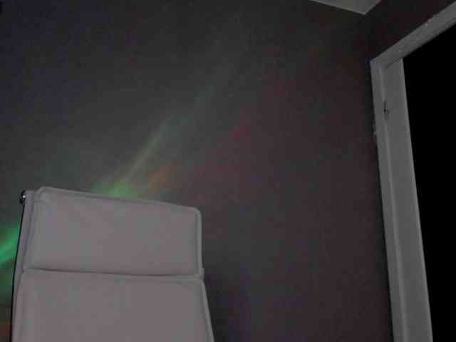 likeAflower webcam