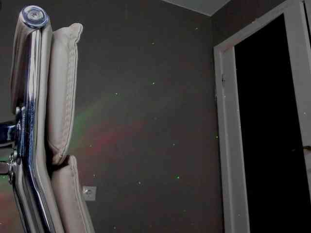 likeAflower webcam