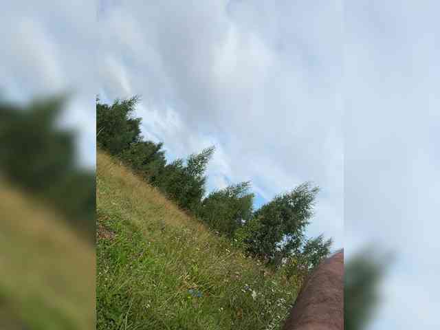 _Milashka_