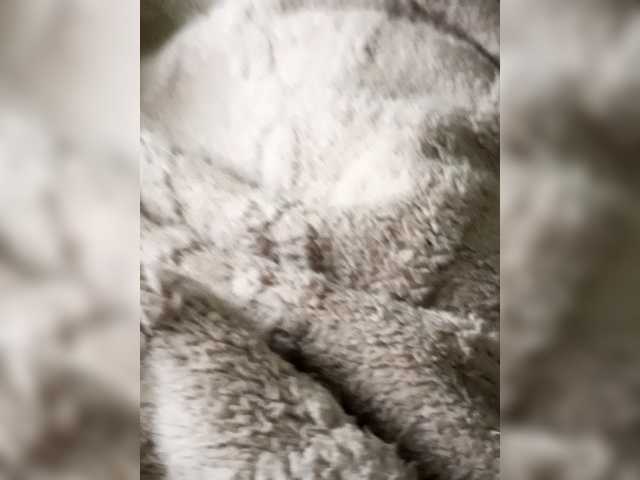 Super-Couple's BongaCams show and profile