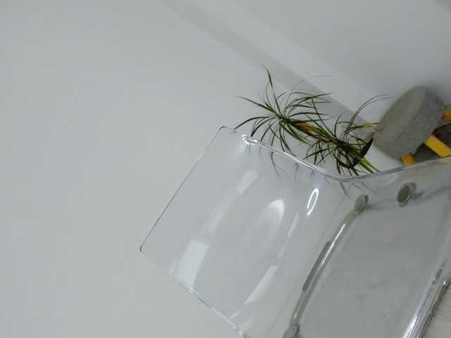 DiamondKay live cam on BongaCams