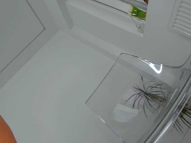 DiamondKay live cam on BongaCams