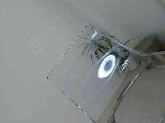 DiamondKay webcam