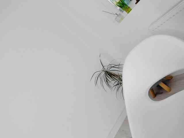 DiamondKay Live Webcam on BongaCams