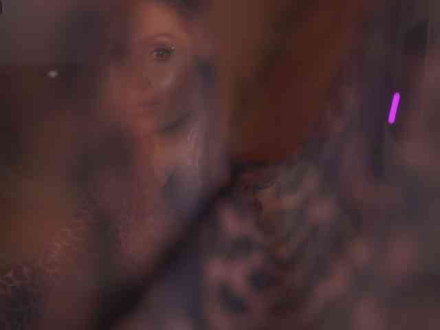 -MEOW- webcam