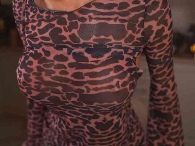 -MEOW- webcam