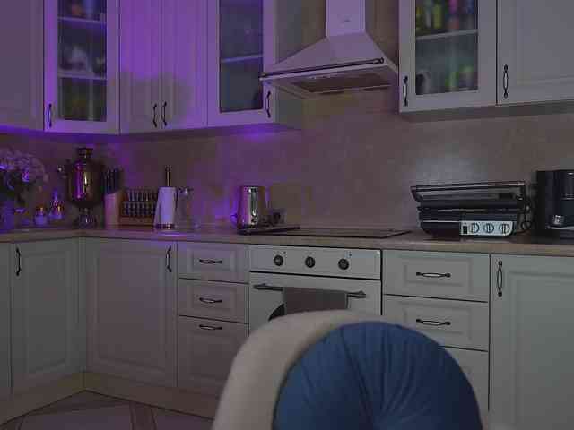 -MEOW- webcam