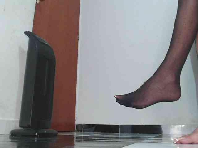 saaramilleer webcam