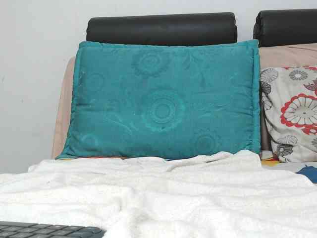 saaramilleer webcam