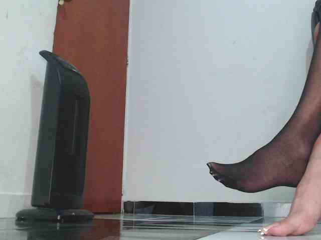 saaramilleer webcam