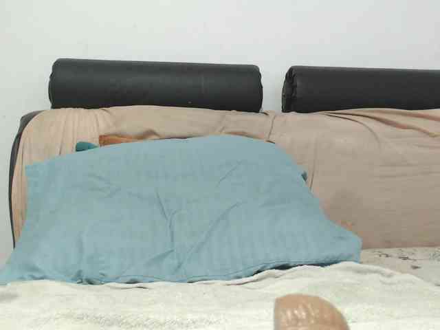 saaramilleer webcam
