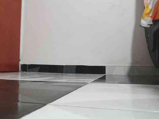 saaramilleer webcam