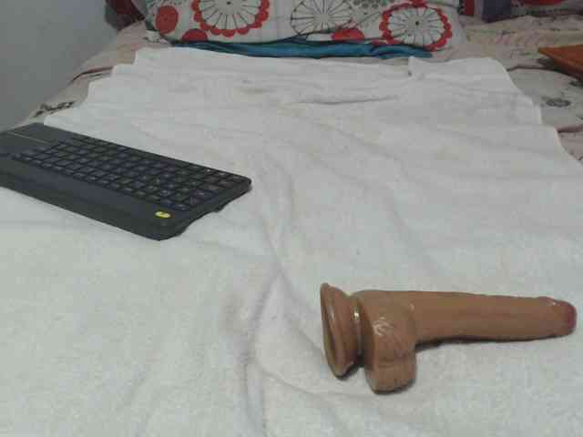 saaramilleer webcam