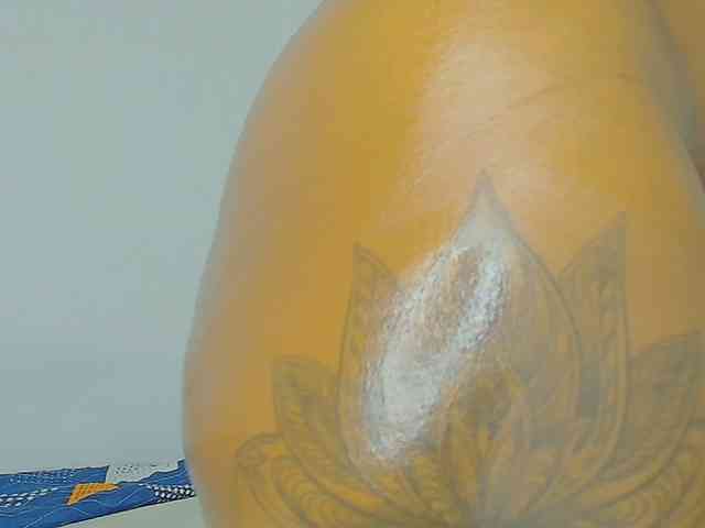 CaseyMoons webcam