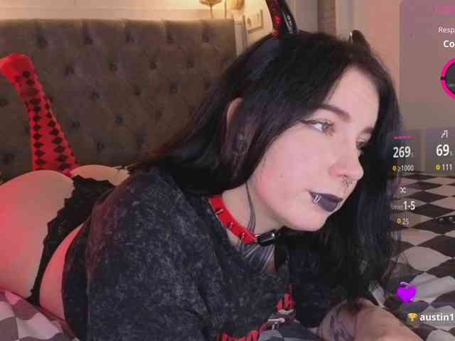 Vivi-Squirrel webcam