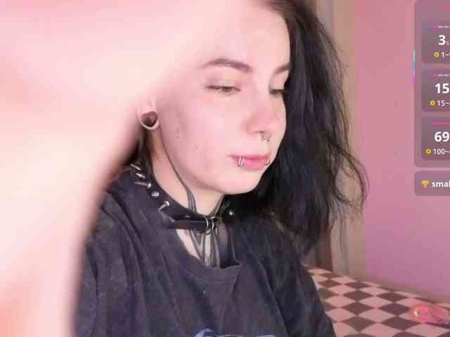 Vivi-Squirrel webcam