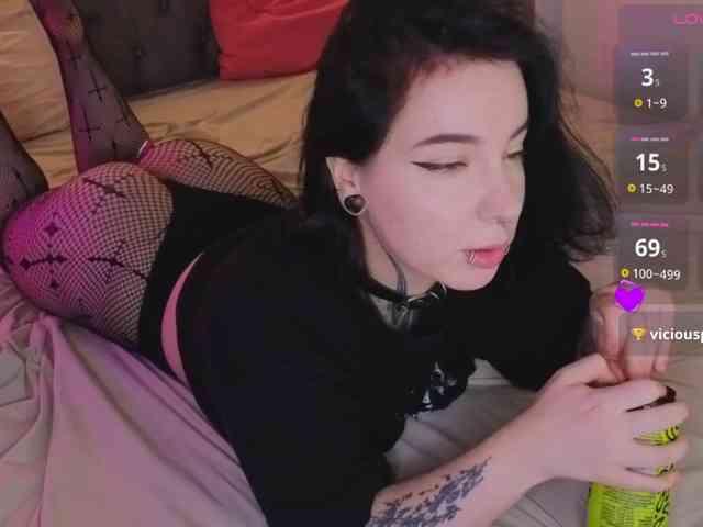 Vivi-Squirrel webcam