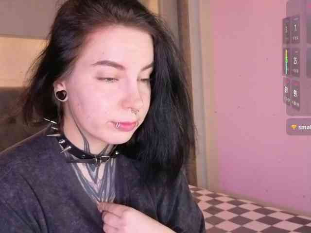 Vivi-Squirrel webcam