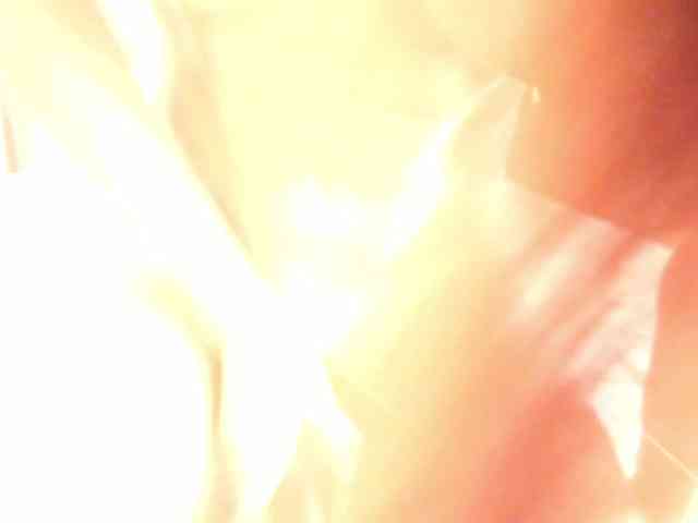 roses-dream