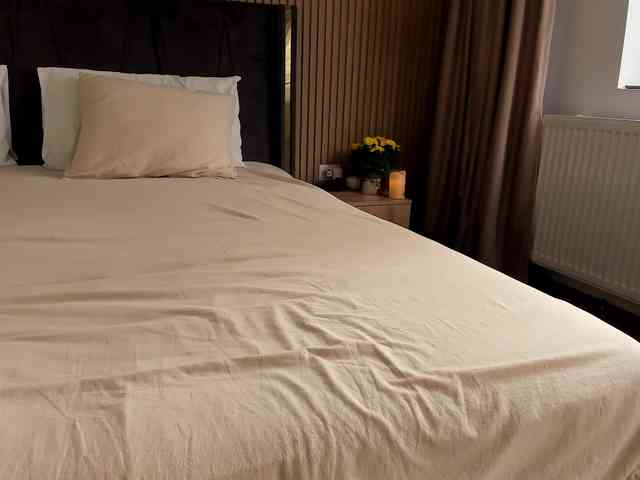 roses-dream
