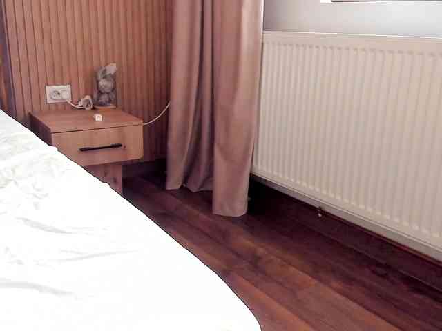 roses-dream webcam