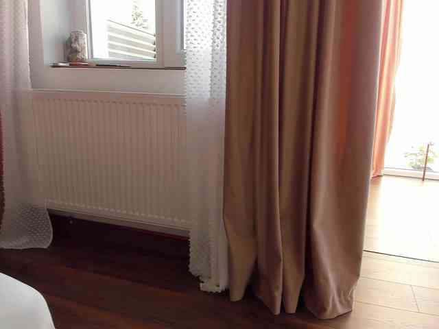 roses-dream webcam