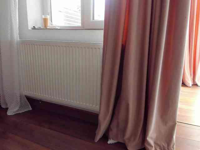 roses-dream webcam