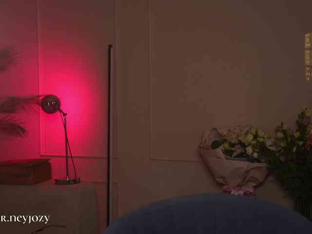 HorneyJozy webcam