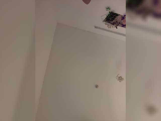 go to chat with DilaraSecret