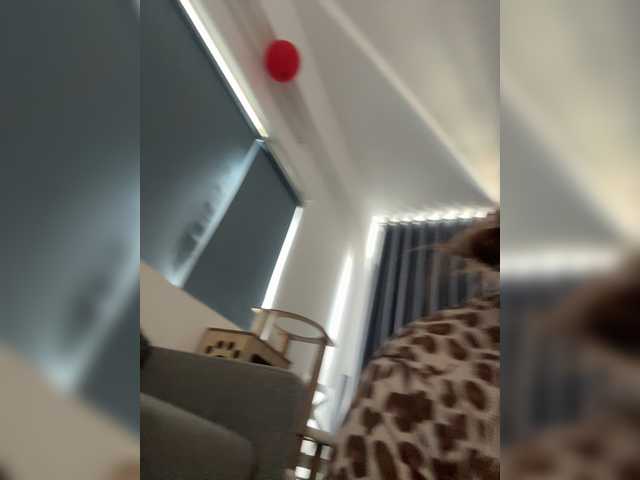 LittleDelora live cam on BongaCams