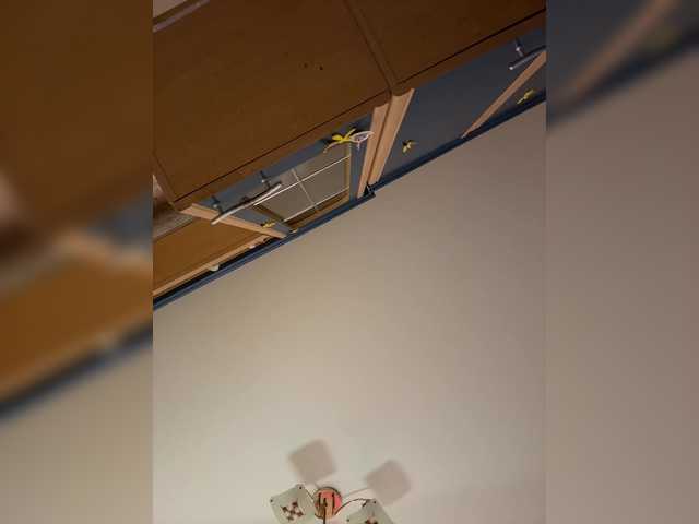  LittleDelora chat room