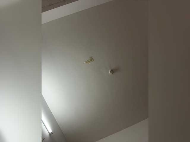 Live трансляция DilaraSecret - slutnetki.online