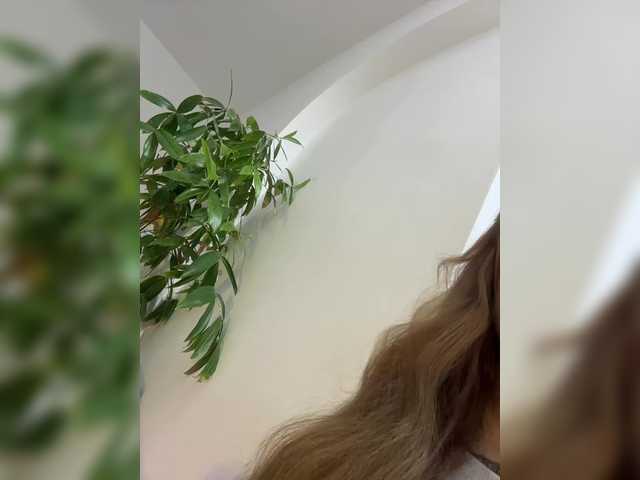 DilaraSecret