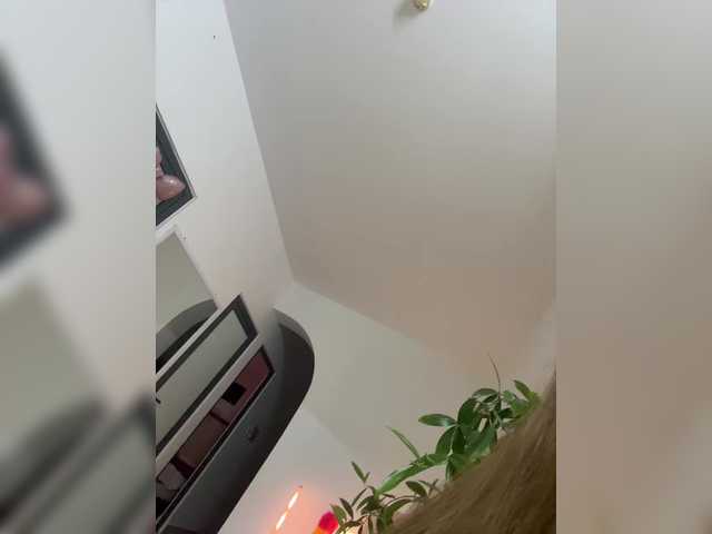 DilaraSecret
