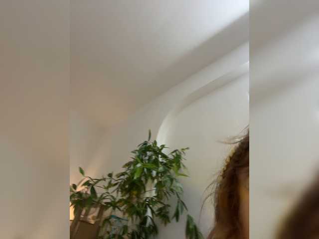 go to chat with DilaraSecret