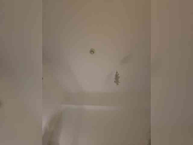 DilaraSecret webcam
