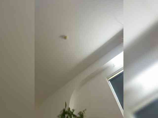 DilaraSecret webcam