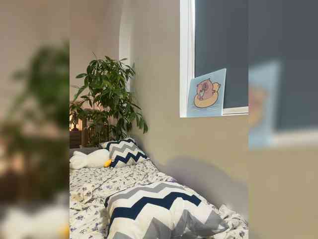 LittleDilara webcam