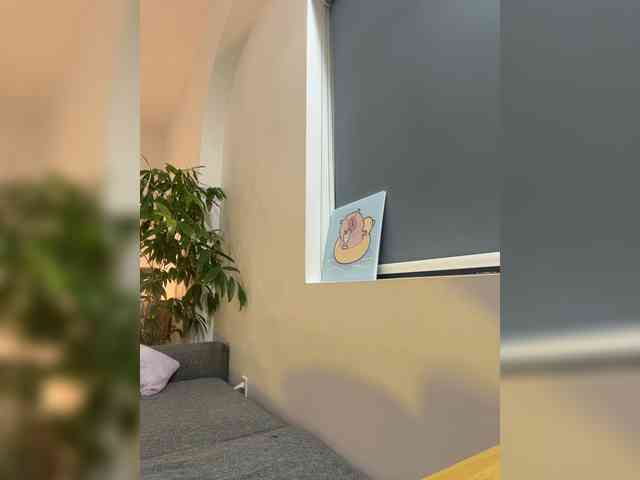 LittleDilara webcam