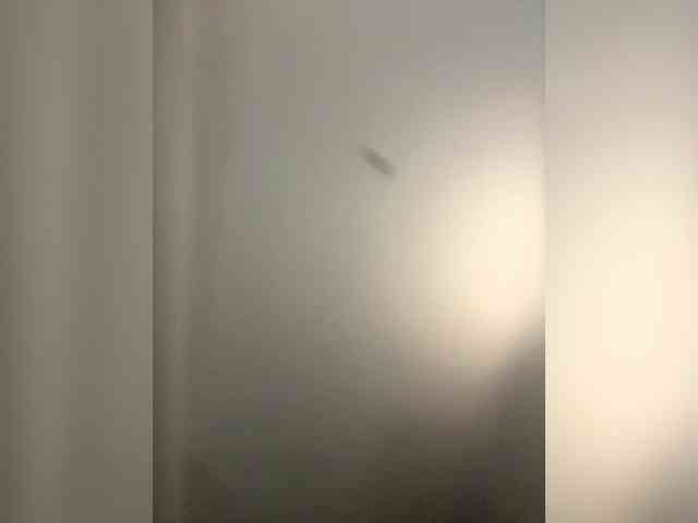 LittleDilara webcam