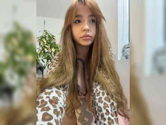 DilaraSecret