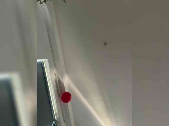 LittleDilara webcam