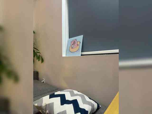 LittleDilara webcam