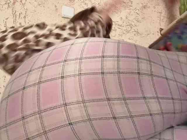 LittleDilara