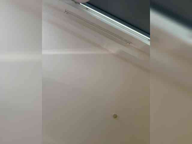 LittleDilara webcam