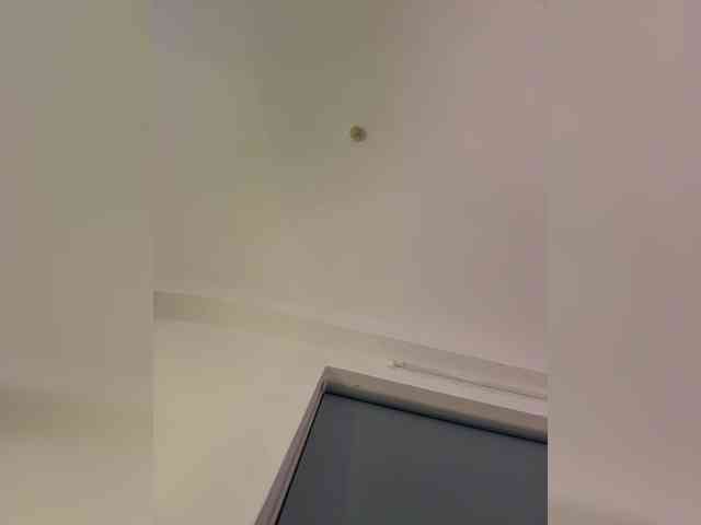 LittleDilara webcam